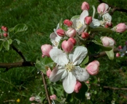 Jonathan Bloom Jonathan Bloom