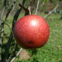 Terry Winter Terry Winter