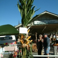 Visit Us in Ashe County Ashe Market