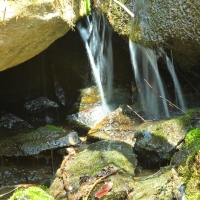 The Essence of Rain Water