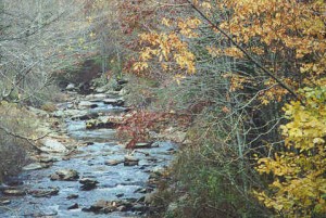 Autumn on Big Horse Creek
